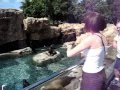 Our First Vacation
