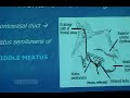 ABOUT: Multimedia at Keck School of Medicine of USC