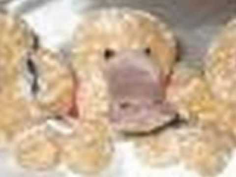 PLATYPUS DEDICATION
