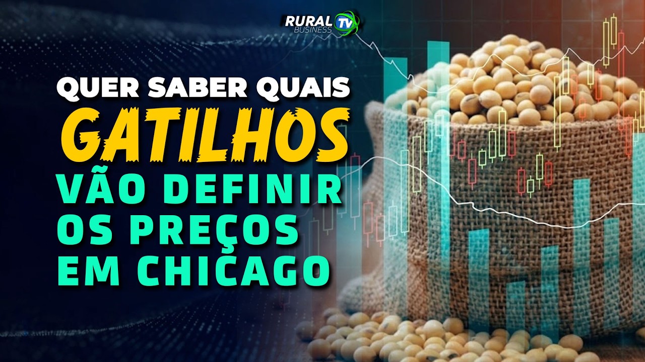 SOJA: QUER SABER QUAIS GATILHOS VÃO DEFINIR OS PREÇOS EM CHICAGO?