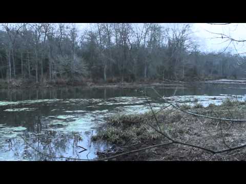 4,624 acres Teague, TX
