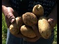 nochmaaal_bauernhof_kartoffeln.wmv nochmaaal_bauernhof_kartoffeln.wmv