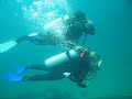 Batismo de Mergulho Arraial do Cabo Tubar�o Rio