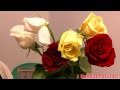 Roses for you .