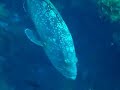 Isla de las Hormigas