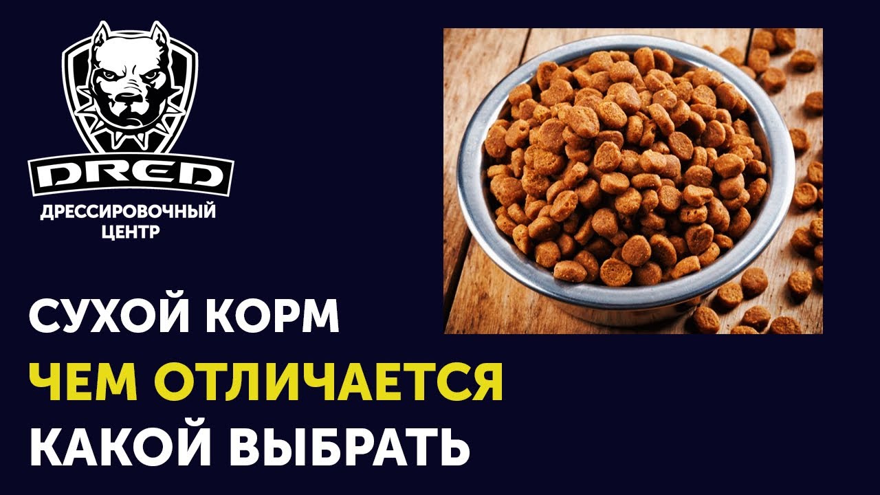 Сухой корм для собак | Классификация кормов | Чем один сухой корм отличается от другого