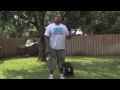 Dog Training