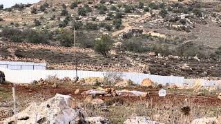 صيد الطيور في مخيم الفوار (التكتوك)