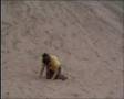 Sandune-Fall