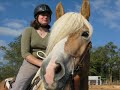 Ein Haflinger erobert mein Herz Ein Haflinger erobert mein Herz