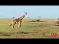 Inside Africa - Tourism Part 1