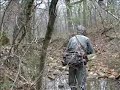 Shiloh Hog Hunting