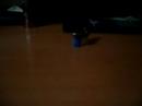 Bristlebot: A tiny directional vibrobot