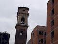 Campane della Cattedrale di San Giovanni Battista - Torino -