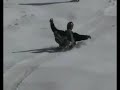 bozkir aslantas sini kayak takımı