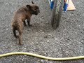bruit de ma moto de ouf