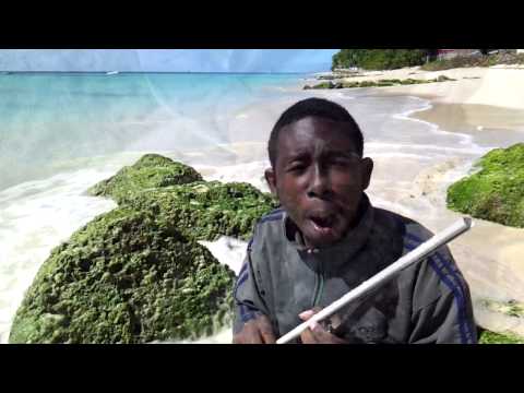 Man Vs. Wild: Barbados