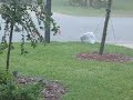 Estero Hail Storm