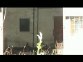 Alpe Bianca - il mostro ecologico della val di Vi� (To)