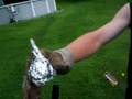 Ping Pong Ball Smoker