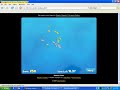 Dolphin olympics 2 - giant school of fish!!