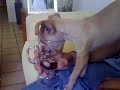 perro-borracho-.html