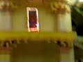 Asram...people dancing in Devotion!!!!!!!!