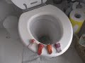 Plugs go swimming (Stop-Motion Animaition)
