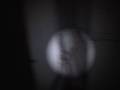 RE: PLEASE HELP Louise Paxton.  Inexplicable Video Two.