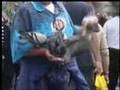 Pigeons In The City (Documentary)