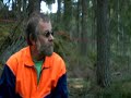SYKSY - Metsurin kyynel