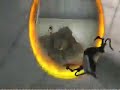 Portal - MTN PortalMap speed run