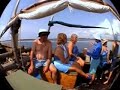 tanzania peponi resort dhow trip and tanga bay