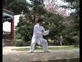 Hunan - Wu Family Boxing [巫家拳-阴阳出进连环手]