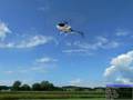 videos de Aerofly Pro Deluxe - TREX 600