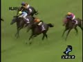 2007  ???? Takarazuka Kinen