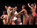 North Americans - Figure Posedown
