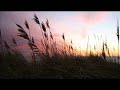 Mastiksoul - Calanga
