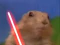 Cane della prateria Sith