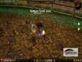 Metin2   Dämonen König.flv