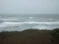 Montauk Noreaster