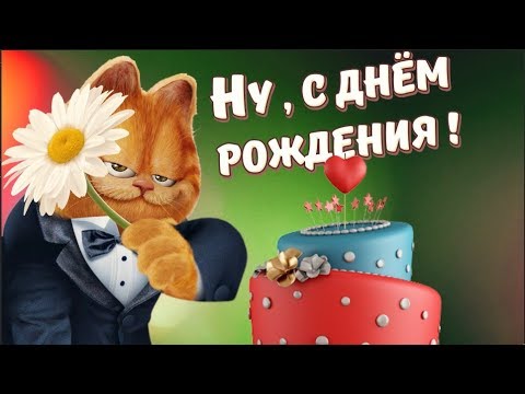 Поздравление с днём рождения от кота матроскина 53