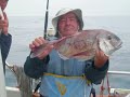 pesca pargo