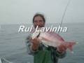 pesca pargo