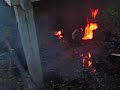 Fire - All purpose pest control Fire - All purpose pest control
