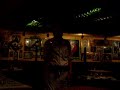 Our Server Singing Melissa Etheridge