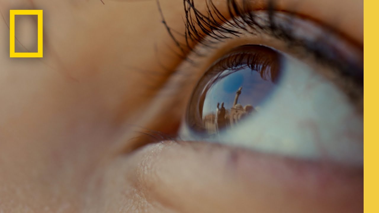 Inner Portrait with Refik Anadol: An Immersive Art Experience | National Geographic