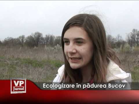 Ecologizare în pădurea Bucov