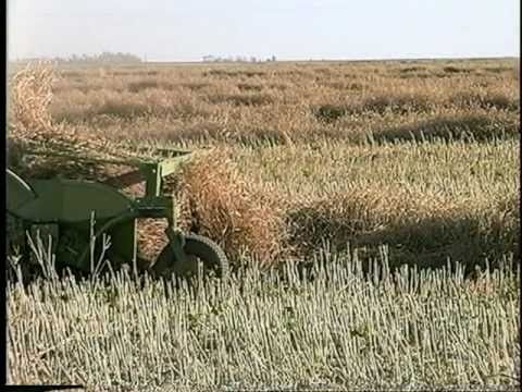 how to properly yield