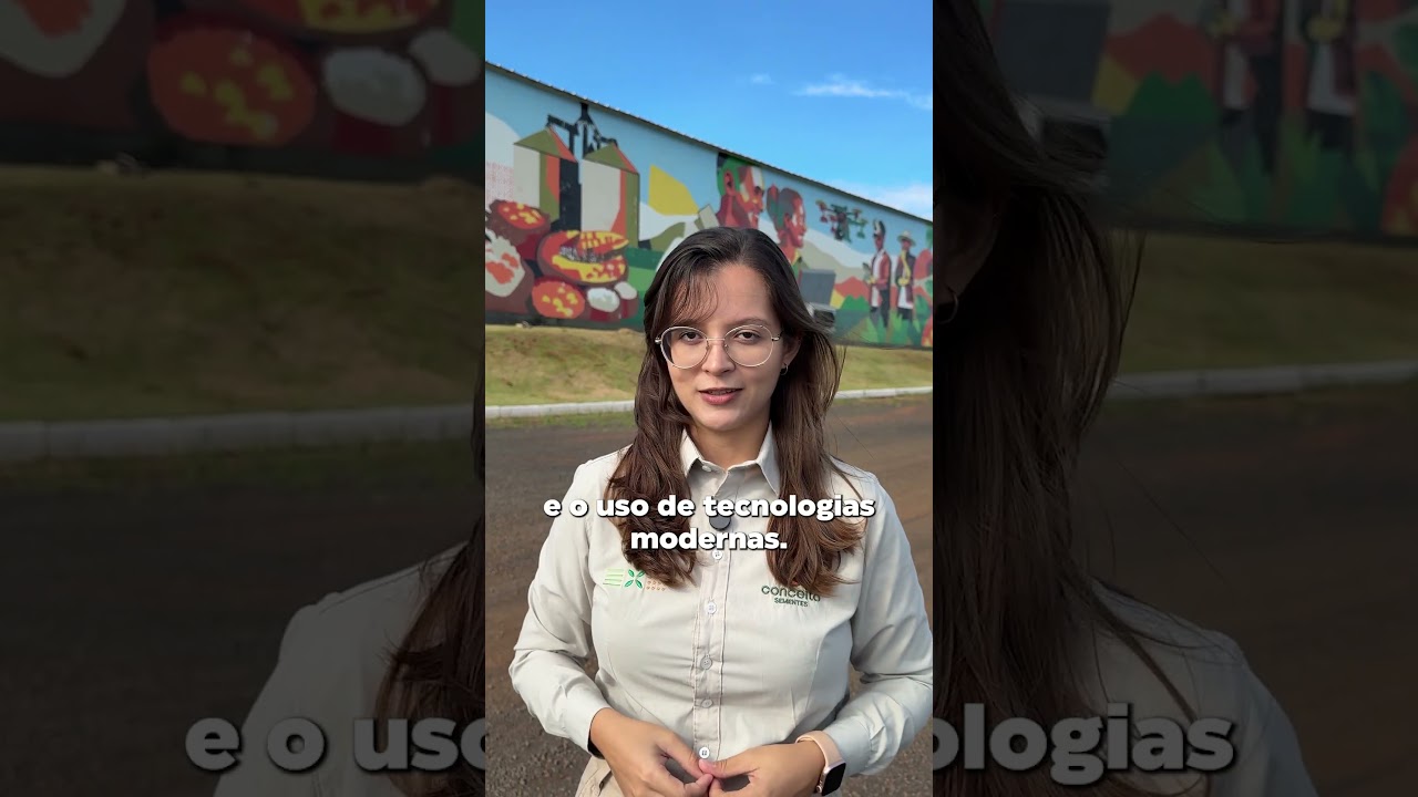 História do Painel Semearte